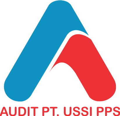 Audit Internal